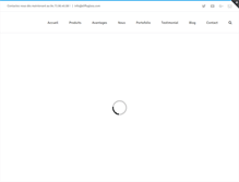Tablet Screenshot of diffuglass.com